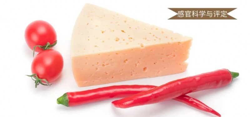 微信圖片_20250623095925